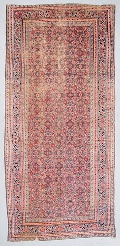 Antique Ferahan Rug, Persia: 6'8'' x 14'