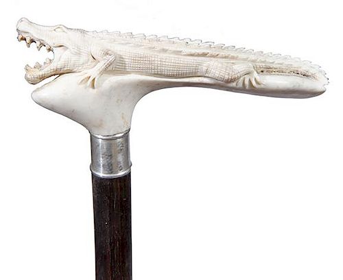 40. Stag Alligator Cane- 20th Century- A fierce alligator in full length, modern stag carving, silver metal collar, exotic