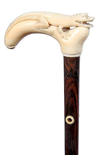 50. Walrus Tusk Alligator Cane- Ca. 1920- A fully carved gator on a walrus tusk with a pair of bone eyelets, exotic wood sha