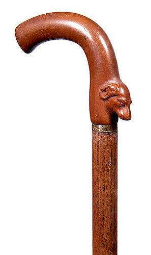 5. Gutta Percha Dog Cane-  Ca. 1885- A firm handle with a dog head on its’ front, gold collar, oak shaft and no ferrule. 