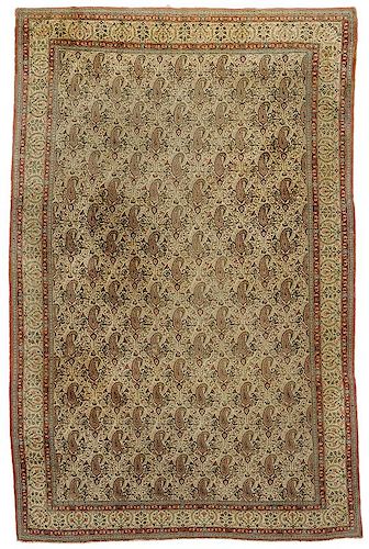 Ivory Field Sarouk Carpet