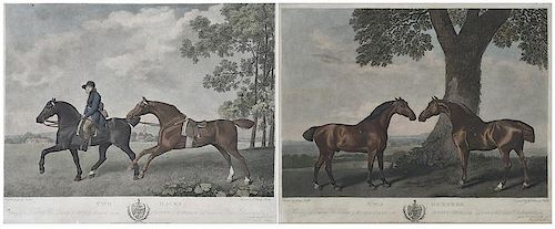 After George Stubbs
