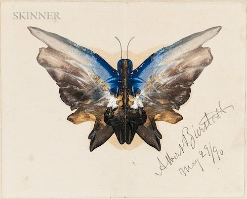 Albert Bierstadt (American, 1830-1902)  Butterfly