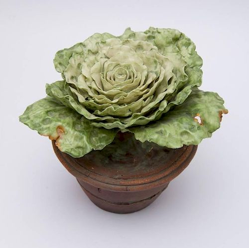 MODERN POTTERY ROSE CABBAGE IN POT