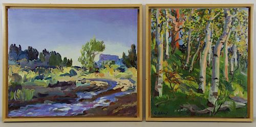 ALSOP, Adele. Two (2) Oil on Canvas Landscapes.