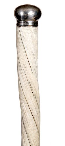 26. Narwhal Nautical Cane- Mid 19th Century- A beautiful example with a coin silver pommel handle, 1 ½” tusk with original patina and in fine conditio