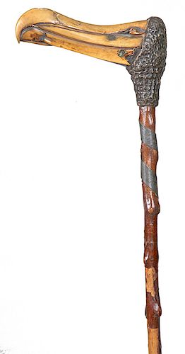 44. Albatross Beak Nautical Cane- Mid 19th Century- An L handle formed from the beak of an albatross, nice original patina, twigspur shaft with a silv