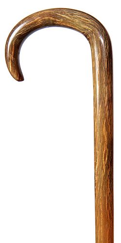 140. Horn Dress Cane- early 20th century- An entire horn dress cane with original patina, and never had a ferrule. H.- 3” x 4” O.L. -36” $200-$300