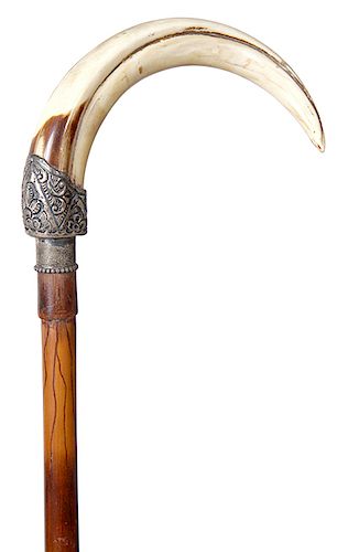 150. Boar’s Tusk Cane- Ca. 1875- perfect tusk with an ornate chaste Victorian sterling mount, paint decorated bamboo shaft which has had an early repa