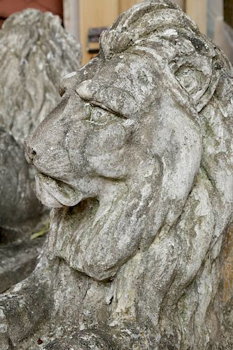 18th/19th Century Pair of Cast Stone Lions Full Scale