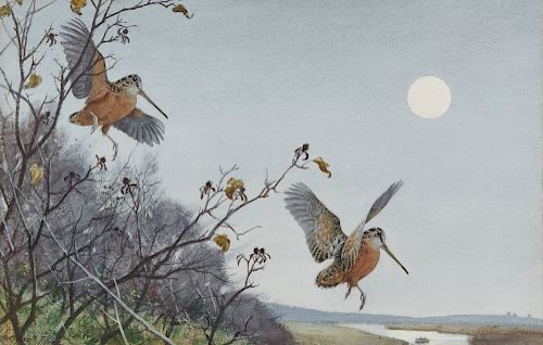 AIDEN LASSELL RIPLEY, (American, 1896-1969), Woodcock with Moonrise, watercolor