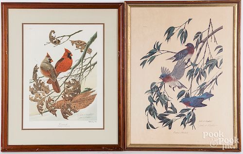 Two signed bird lithographs by John Ruthven