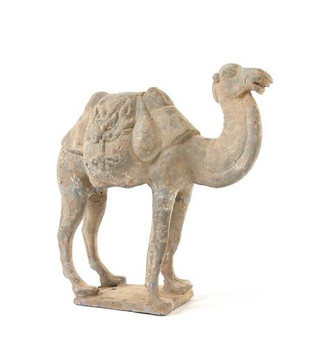 * A Chinese Grey Pottery Figure of a Camel Height 12 inches.
