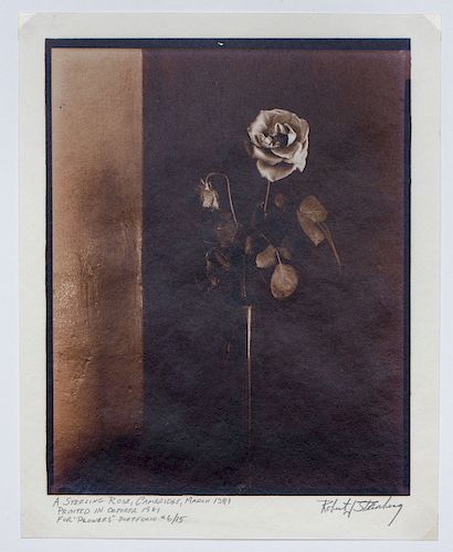 ROBERT J. STEINBERG (b. 1948): FLOWERS: THREE PLATES AND A PORTFOLIO