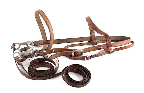 Leather Headstall with Renalde Aluminum Bit