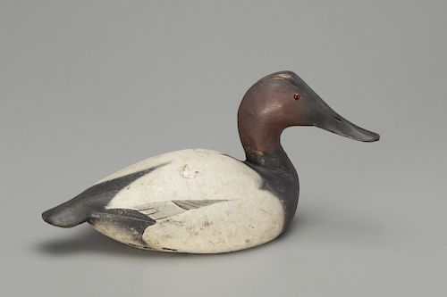 Canvasback Drake, The Ward Brothers