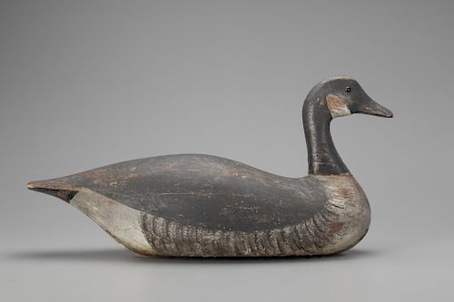Canada Goose, Joseph W. Lincoln (1859-1938)