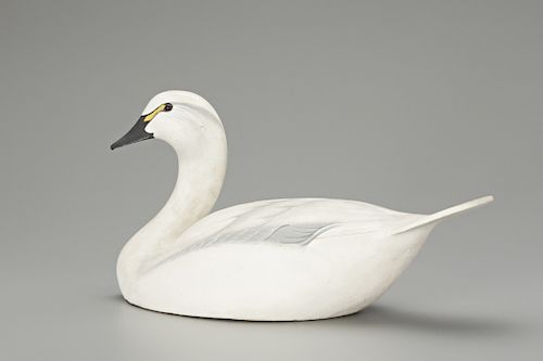 One-Third-Size Swan, The Ward Brothers