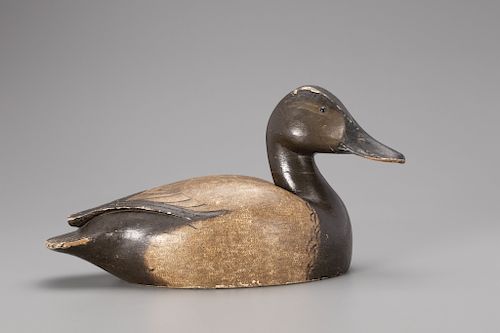 Canvasback Hen, Ferdinand L. Homme (1901-1963)