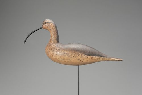 The Peabody Essex Long-Billed Curlew, Mason Decoy Factory (1896-1924)