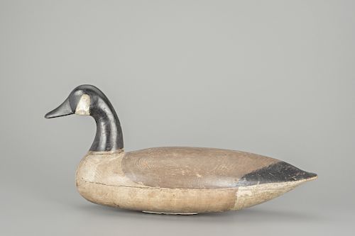 Canada Goose, Ellis Parker (1870-1952)