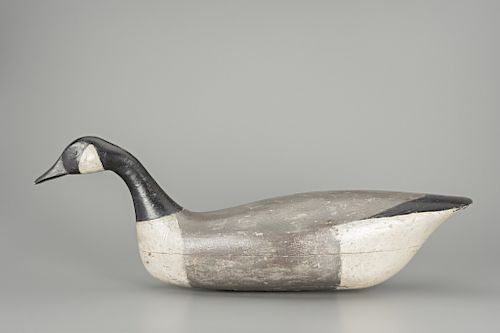 Swimming Canada Goose, Samuel Soper (1863-1943) (attr.)