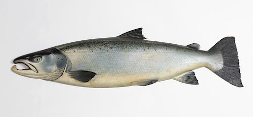 Trophy Atlantic Salmon Model