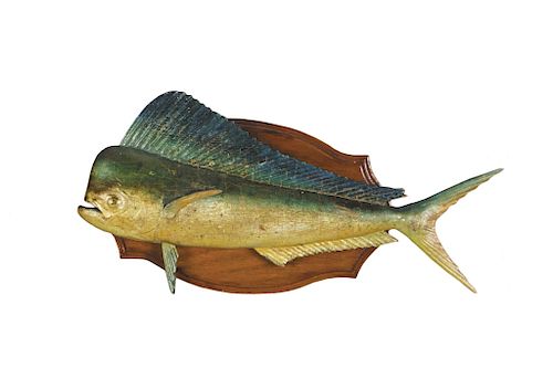 Two Scale-Model Fish Carvings