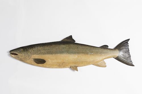 Atlantic Salmon Model, John Grytos Sira