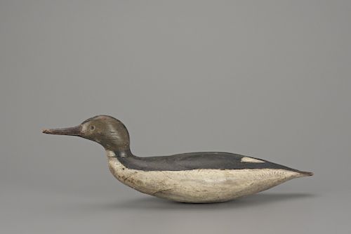 Swimming Merganser Hen, Franklin Pierce Wright (1854-1939)