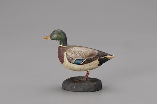 Miniature Mallard, A. J. Ditman (1884-1974)