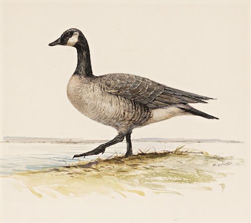 Milton C. Weiler (1910-1974) Canada Goose