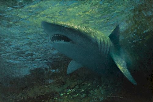 George Luther Schelling (b. 1938) Great White Shark