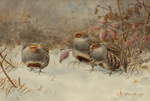 Allan Brooks (1869-1945) Partridges in Snow