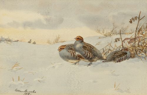 Allan Brooks (1869-1945) Partridges