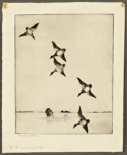 Frank W. Benson (1862-1951) On Swift Wings