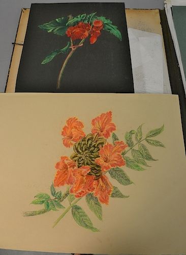 Two Dorothy Ochtman (1892-1971) portfolios with a total of twenty pastel and watercolors of flowers, one is signed: Dorothy Ochtman,...