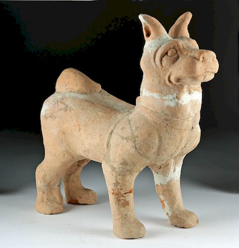 Large Chinese Han Dynasty Terracotta Dog - w/ TL