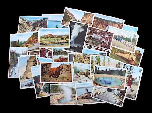 Yellowstone National Park Postcard Collection