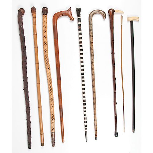 Collection of Eight Canes and a Horn Stick