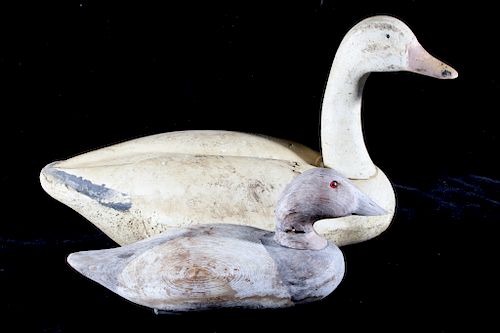 Foam Goose and Hand-carved Canvasback decoys