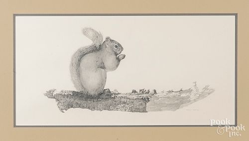 Joan Poole, pencil of a squirrel