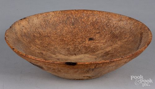 New England burlwood bowl