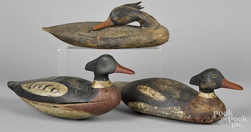 Three carved and painted merganser decoys