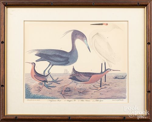 Six color bird lithographs