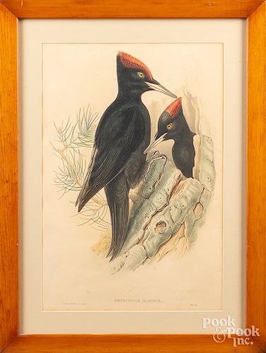 Three color bird lithographs