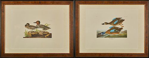 After John James Audubon (American, 1785-1851) "American Green Winged Teal" and "Blue Winged Teal," pair of Amsterdam prints, No. 46, Plate 228, prese