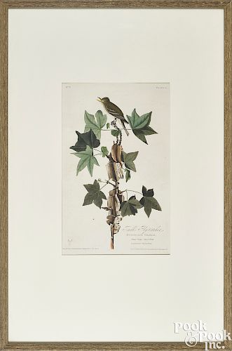 John James Audubon engraving