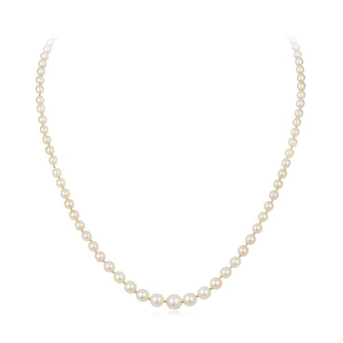 A Cultured Pearl Necklace
