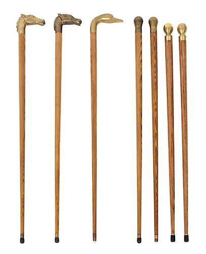 A Collection of Seven Brass Handled Ash Canes Length of tallest 35 1/2 inches.